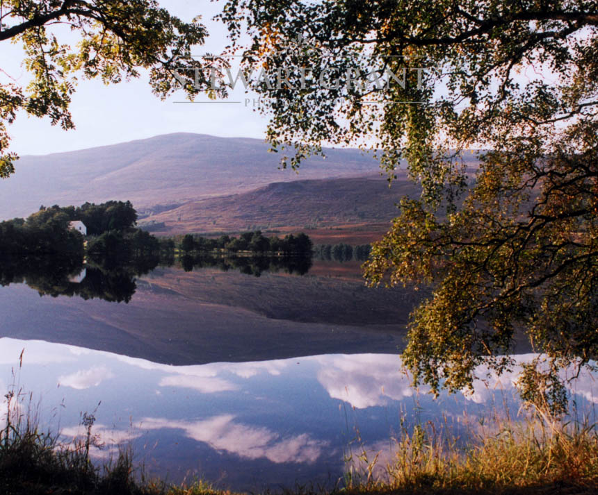 Rural and Urban Landscapes