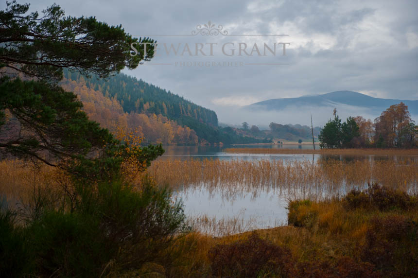 Rural and Urban Landscapes