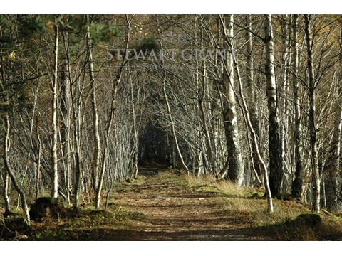 Rural and Urban Landscapes